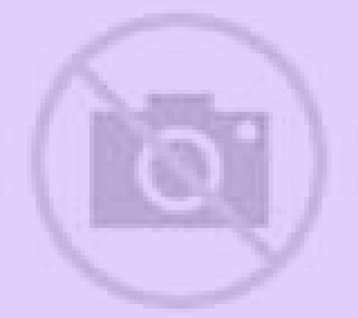 Escorts Nassau, Bahamas — Chicas y putas locales