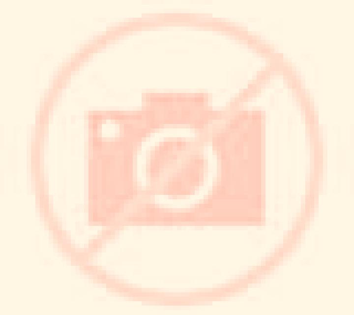 Escorts Punggursugih, Indonesia — Chicas y putas locales
