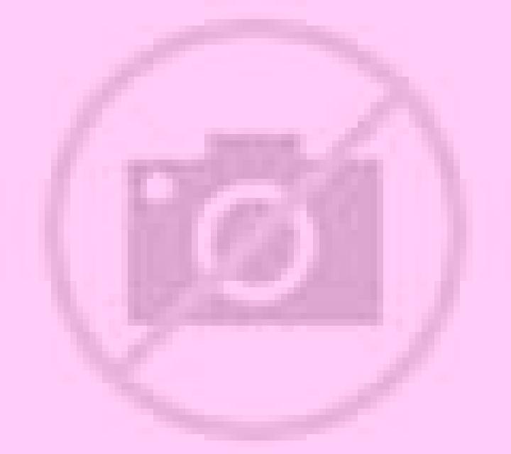 Escorts Zuerich (Kreis 5) / Gewerbeschule, Suiza — Chicas y putas locales