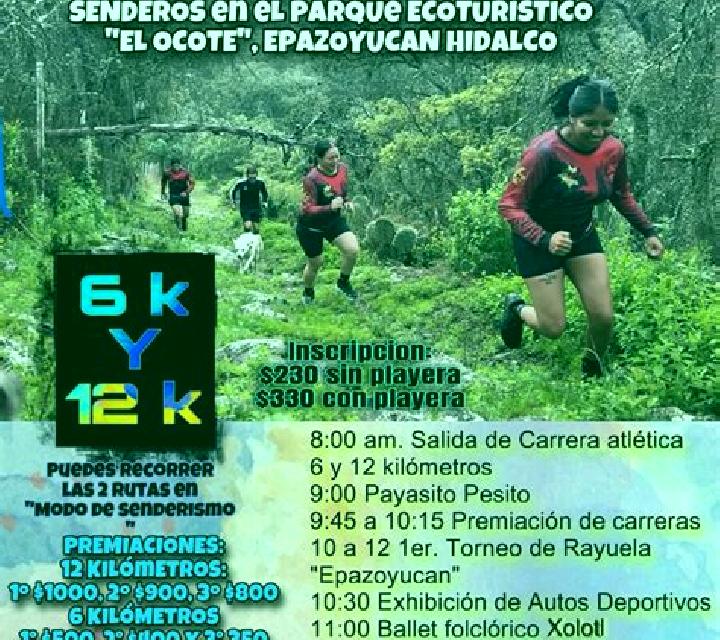 Gabriela, 25, acompañante castaña de ojos verdes y etnia mezcla basada en Kitim. Ofrece Dominación, Masaje, Hasta el final (CIM), Cita de cena, Juego de role...