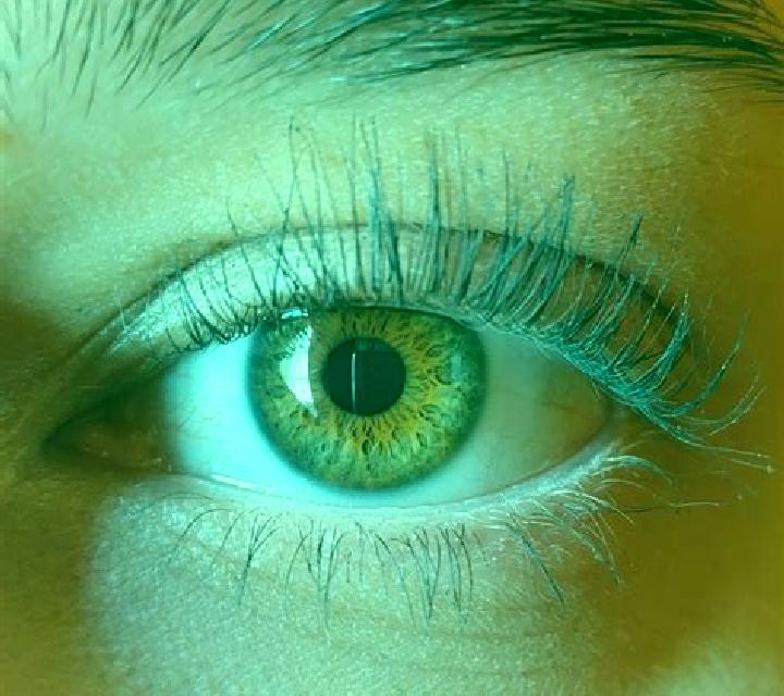 Isabella, 34, acompañante rubia de ojos avellana y etnia india basada en Cinta. Ofrece Juego de roles, Tríos / dúos, Francés natural, Hasta el final (CIM), 6...