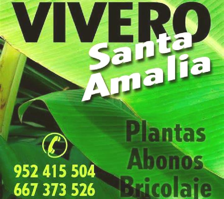 Julia, 35, acompañante castaño claro de ojos grises y etnia asiática basada en Jatikerto. Ofrece BDSM, Masaje de próstata, Masaje. Disponible en domicilio y ...