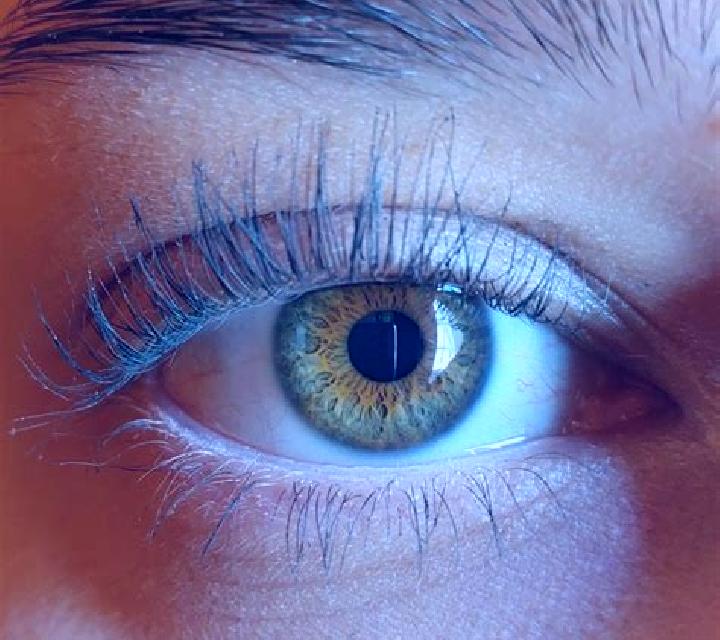 Laia, 28, acompañante castaña de ojos verdes y etnia europea basada en Salur. Ofrece Hasta el final (CIM), Beso francés profundo, Experiencia de novia. Dispo...