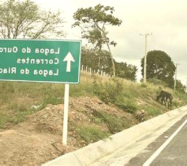 Mía, 36 — Escort en Pajara, España