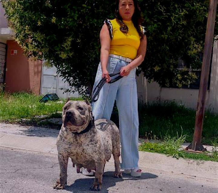 Martina, 22, acompañante castaña de ojos oscuros y etnia asiática basada en Sugi. Ofrece Griego (anal), Masaje erótico, Hasta el final (CIM). Disponible en d...