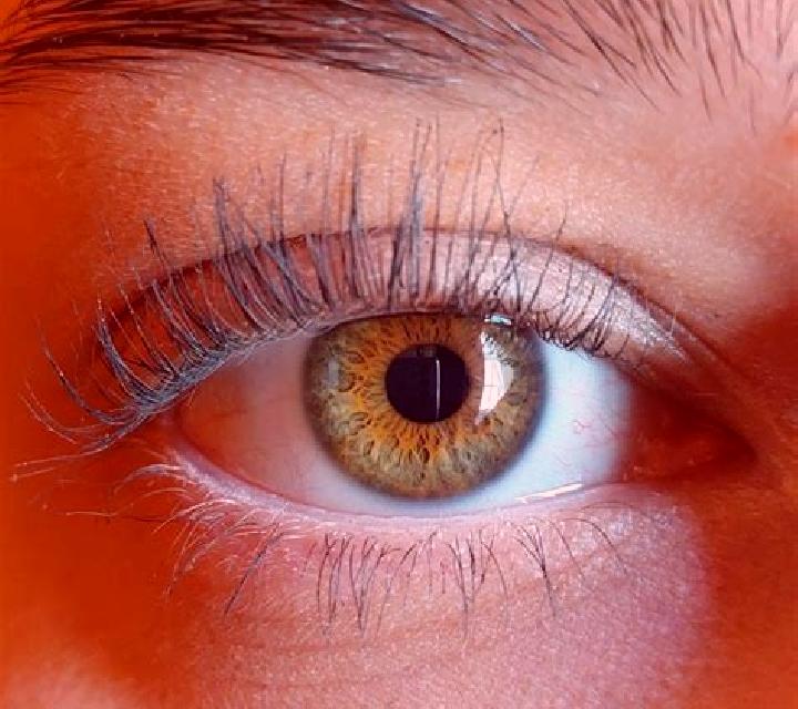 Mora, 24, acompañante castaña de ojos avellana y etnia mezcla basada en Maitengwe. Ofrece Chica de fiesta, Juego de roles, GFE (Experiencia de novia), Hasta ...