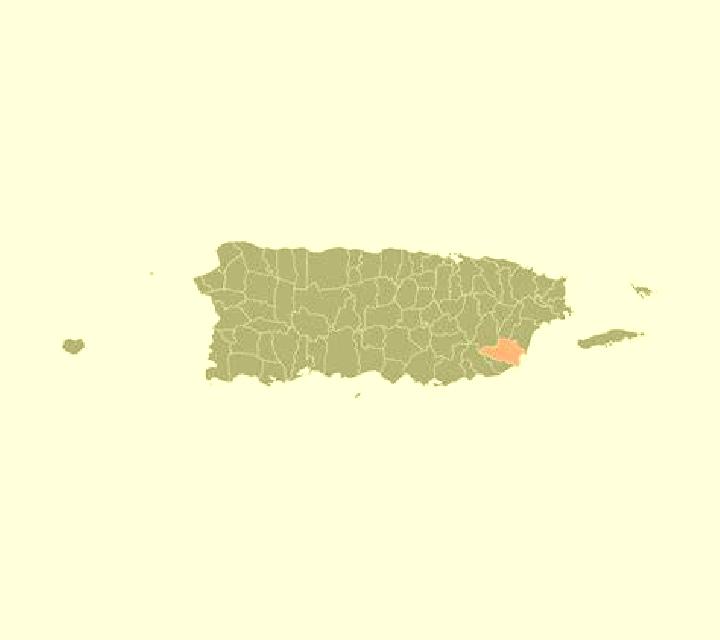 Ángela, 33, acompañante morena de ojos oscuros y etnia caribeña basada en Acoua. Ofrece Masaje erótico, Hasta el final (CIM), 69, GFE (Experiencia de novia),...