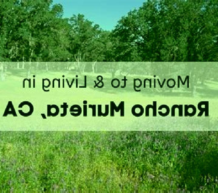 Noa, 23, acompañante castaña de ojos verdes y etnia eslava basada en Yelten. Ofrece Experiencia de novia, 69, Acompañante de viaje. Disponible en domicilio y...