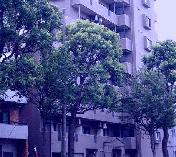 Noa, 28, acompañante pelirroja de ojos oscuros y etnia mezcla basada en Milavce. Ofrece Parejas, Tantra, Beso francés profundo, Chica de fiesta. Disponible e...