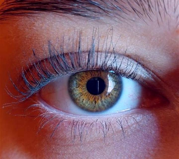 Noa, 35, acompañante negra de ojos avellana y etnia india basada en Bavtugay. Ofrece Chica de fiesta, Hasta el final (CIM), Noche completa, Fetiche. Disponib...