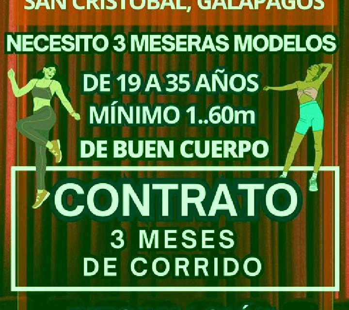Noelia, 24, acompañante castaño claro de ojos grises y etnia oriente medio basada en Animas Trujano. Ofrece Juego de roles, Parejas, Cita de cena, BDSM, Fran...
