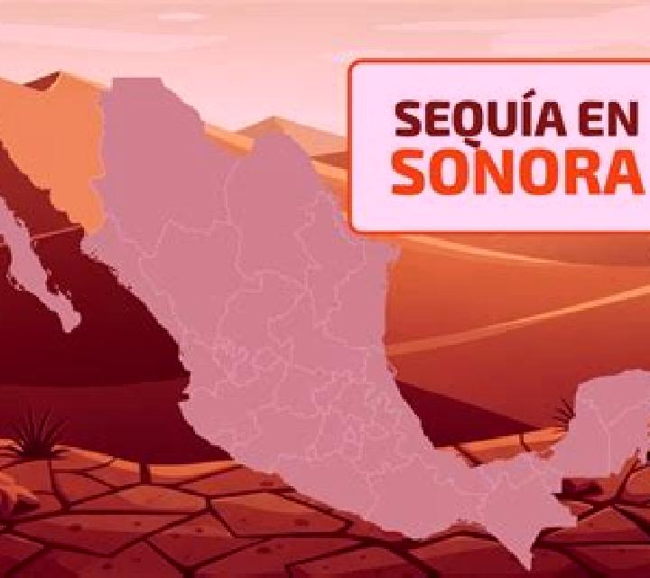 Nora, 36, acompañante morena de ojos marrones y etnia latina basada en Karavan. Ofrece Striptease, Masaje de próstata, Chica de fiesta, Masaje, BDSM. Disponi...