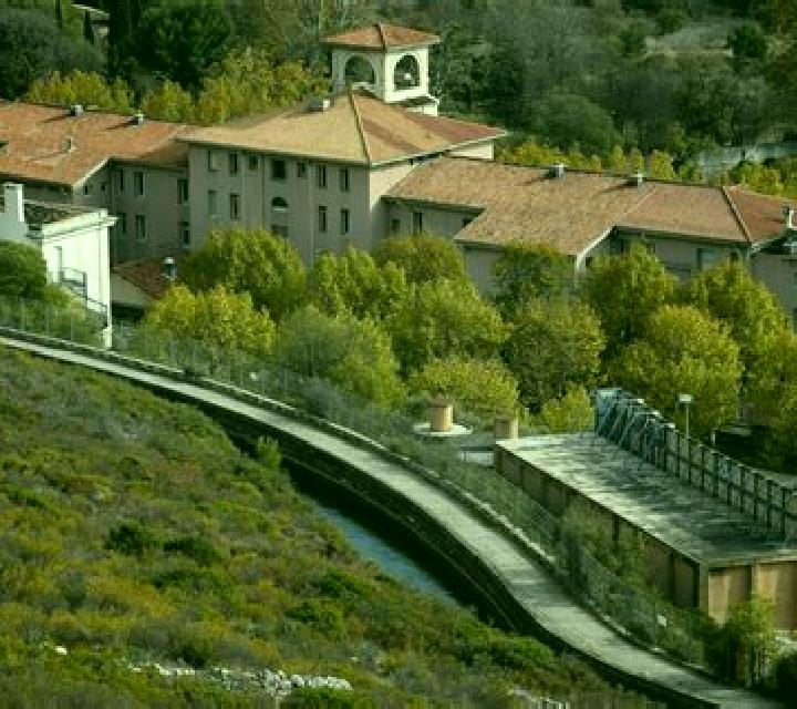 Rosa, 38 — Escort en Ona, España