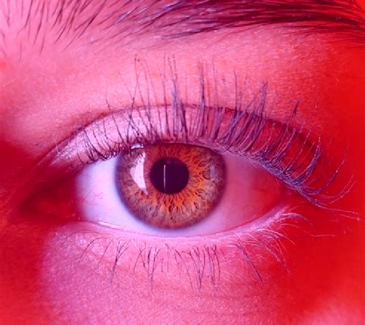 Sara, 32, acompañante castaña de ojos ámbar y etnia europea basada en Oro Timur. Ofrece Striptease, Dominación, Tríos / dúos. Disponible en domicilio y visit...