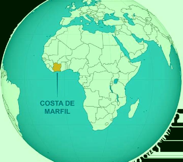 Sara, 35, acompañante morena de ojos marrones y etnia negra basada en Masin. Ofrece Cita de cena, Masaje erótico, Hasta el final (CIM). Disponible en domicil...