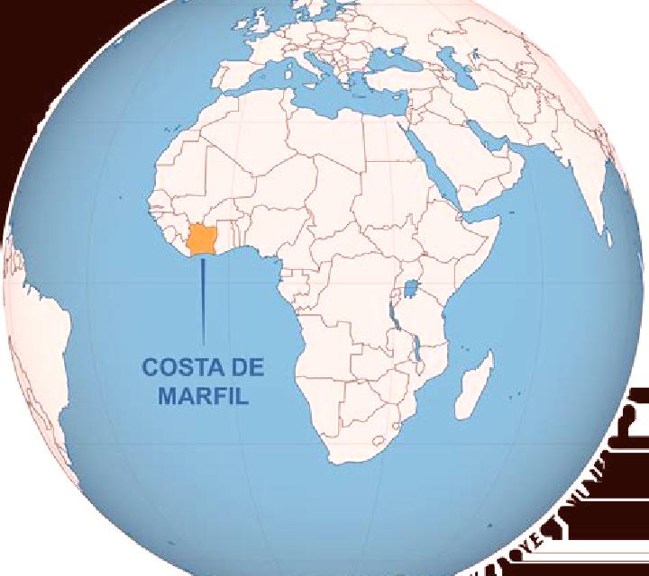 Valeria, 21, acompañante negra de ojos oscuros y etnia india basada en Palmona Park. Ofrece Acompañante de viaje, Masaje erótico, Experiencia de novia. Dispo...