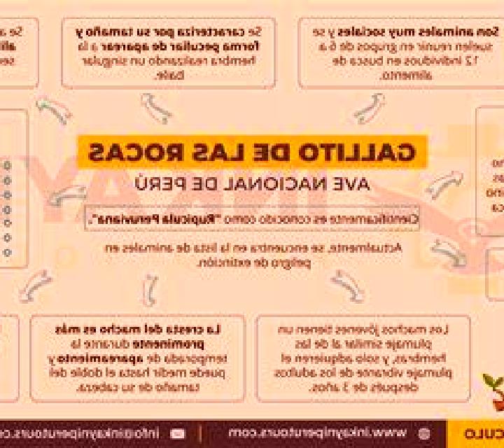 Vega, 21 — Escort en Zafreh, Irán