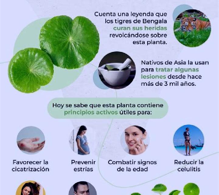 Vega, 25, acompañante pelirroja de ojos avellana y etnia caucásica basada en Bargawan. Ofrece Hasta el final (CIM), Beso francés profundo, Experiencia de nov...