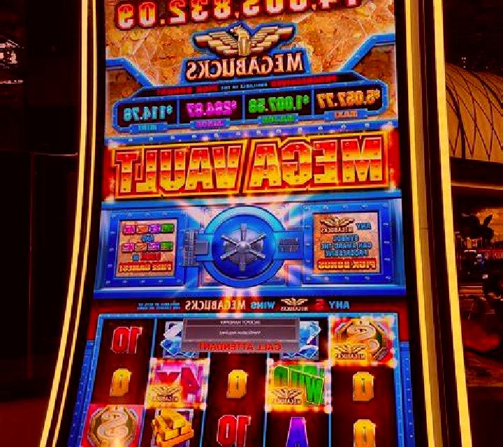 Vega, 26, acompañante castaño claro de ojos grises y etnia mediterránea basada en Prato. Ofrece Parejas, Acompañante de viaje, Juego de roles. Disponible en ...