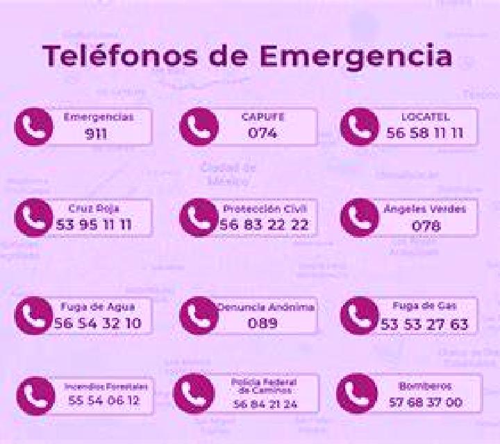Yasmin, 29, acompañante morena de ojos ámbar y etnia asiática basada en Cheppad. Ofrece Tantra, Parejas, GFE (Experiencia de novia). Disponible en domicilio ...