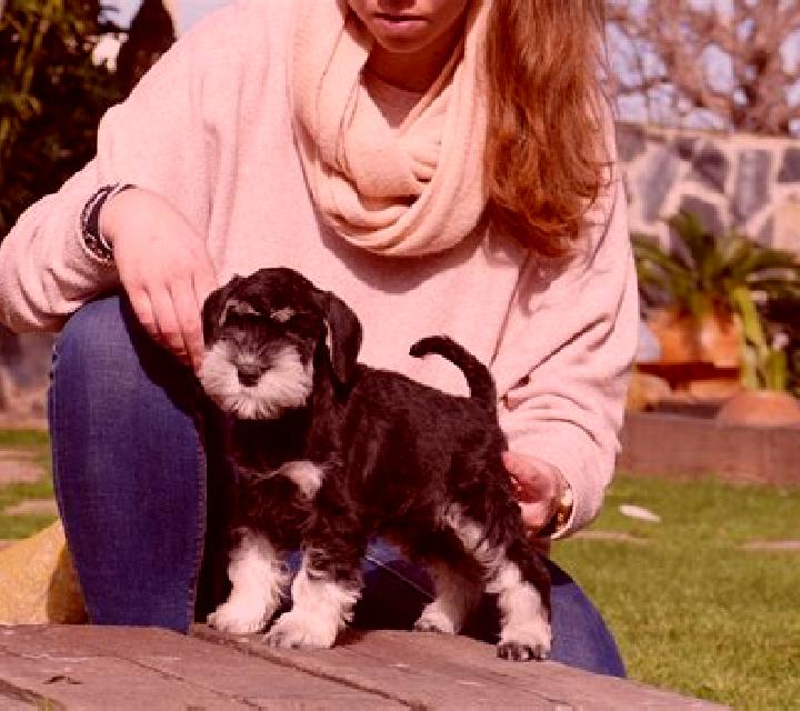 Zara, 33 — Escort en Lapa do Lobo, Portugal