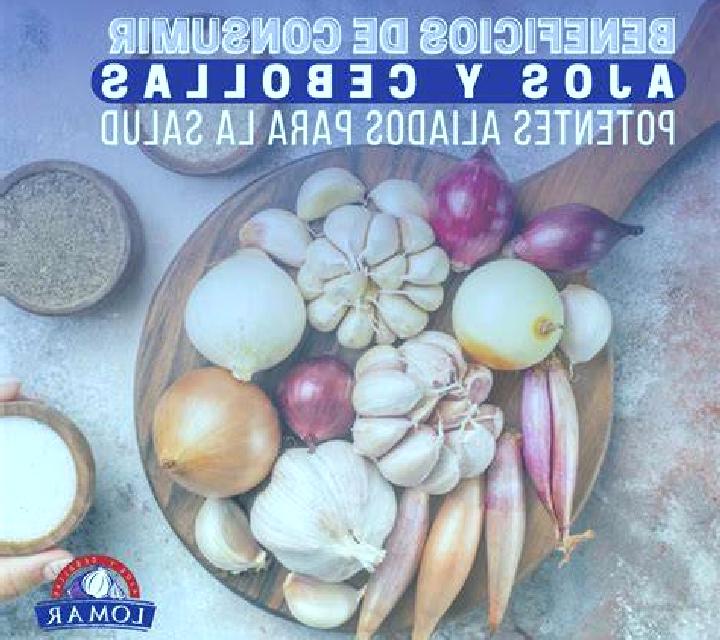Zara, 33 — Escort en Tobarra, España