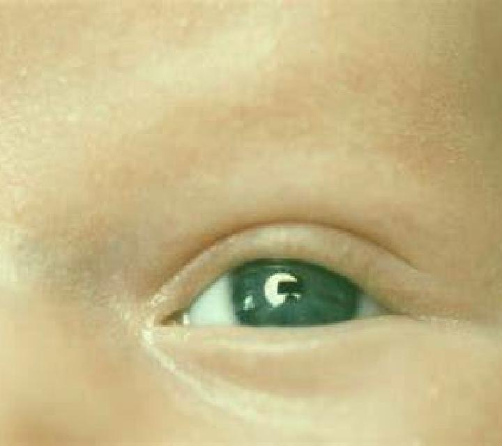 Zara, 37, acompañante castaño claro de ojos azules y etnia mezcla basada en Urisor. Ofrece Griego (anal), Francés natural, Chica de fiesta, Masaje erótico. D...